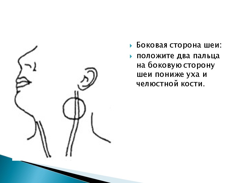 Боковая сторона шеи:  положите два пальца на боковую сторону шеи пониже уха и